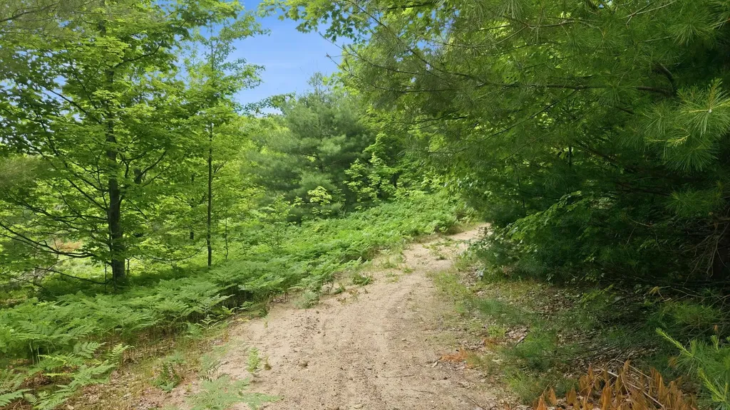 3982 SE Mitchell Road Orange Township MI 49646