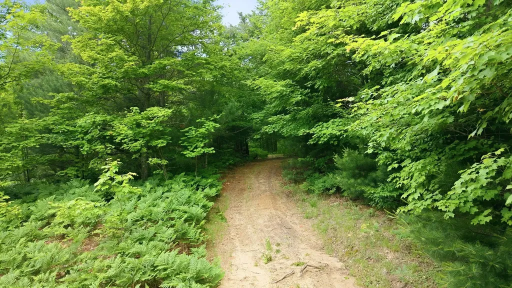 3982 SE Mitchell Road Orange Township MI 49646
