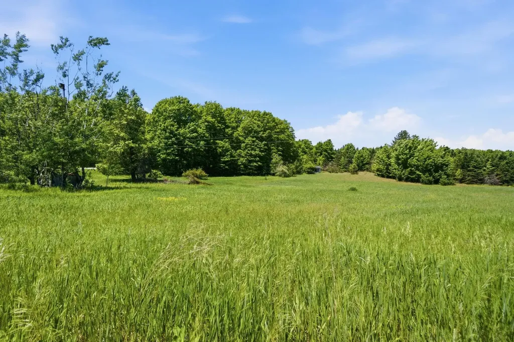 3982 SE Mitchell Road Orange Township MI 49646