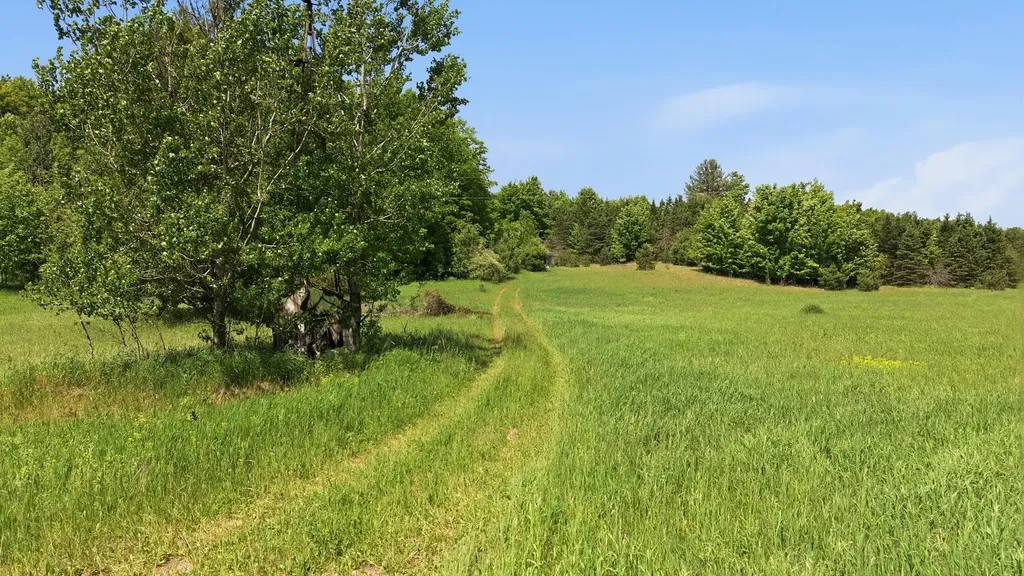 3982 SE Mitchell Road Orange Township MI 49646