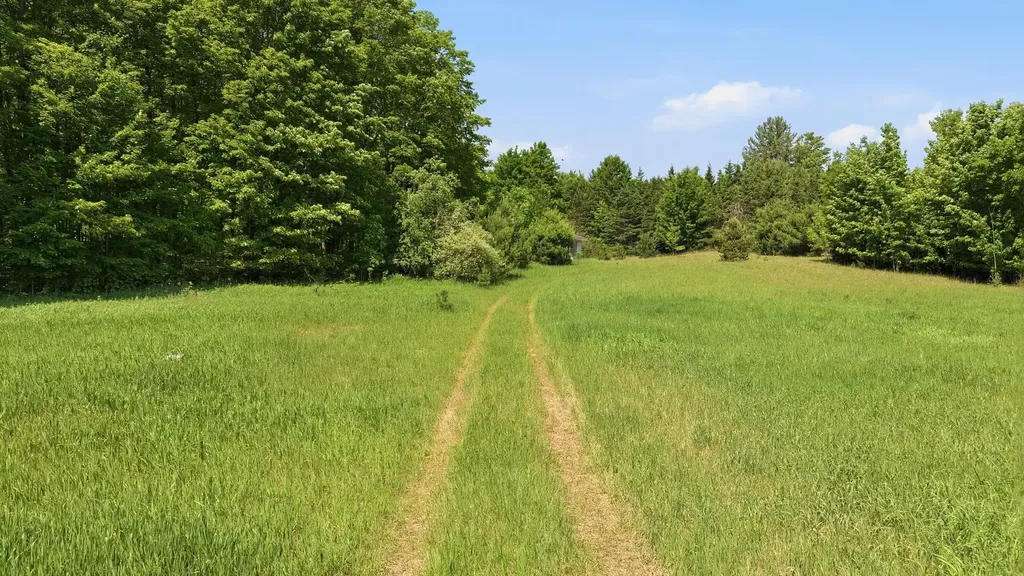 3982 SE Mitchell Road Orange Township MI 49646