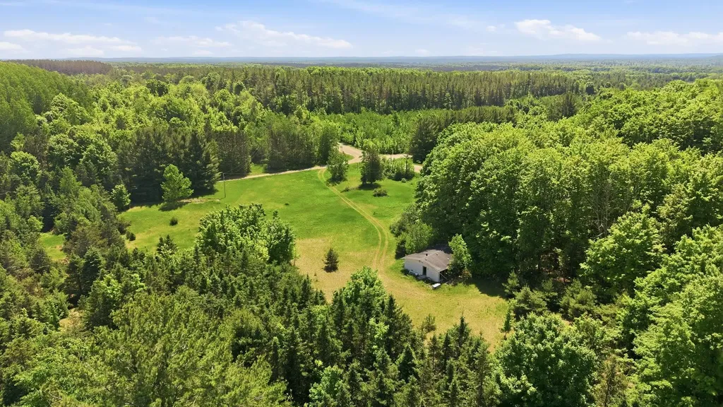 3982 SE Mitchell Road Orange Township MI 49646