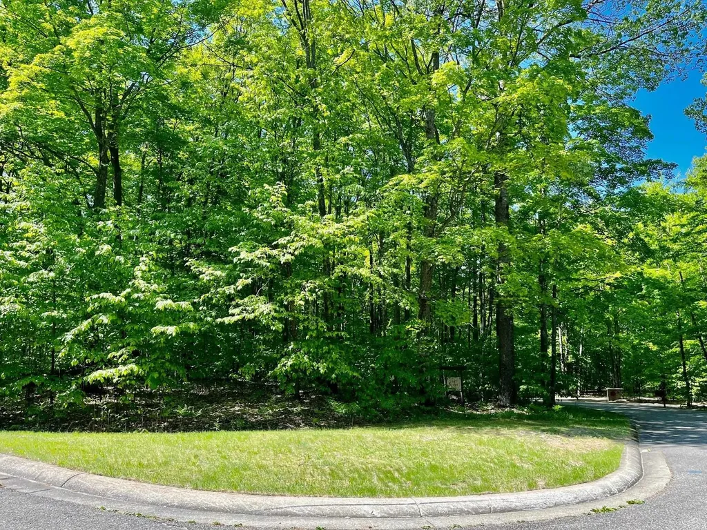 62 Valley Run Custer Township MI 49615