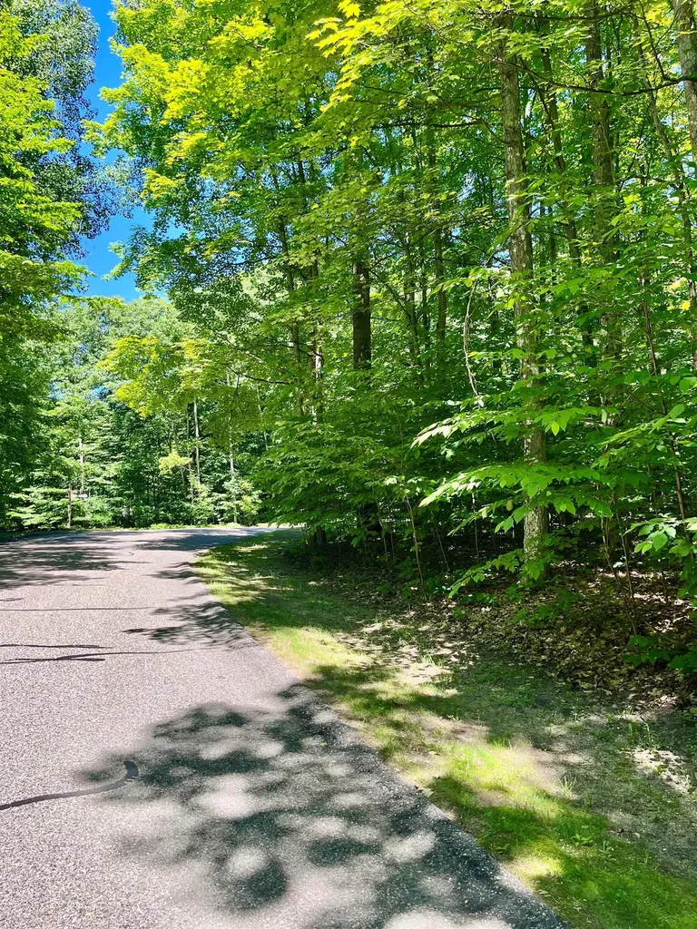 62 Valley Run Custer Township MI 49615