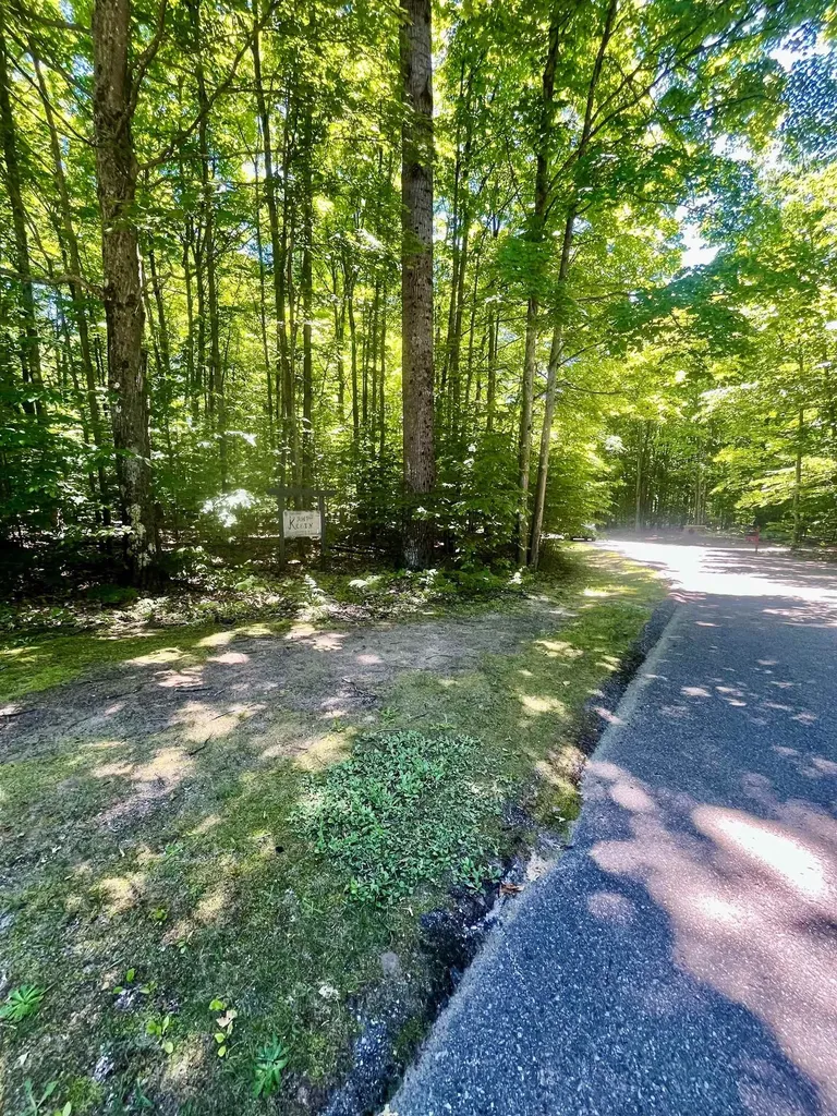 62 Valley Run Custer Township MI 49615