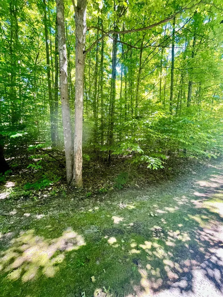62 Valley Run Custer Township MI 49615