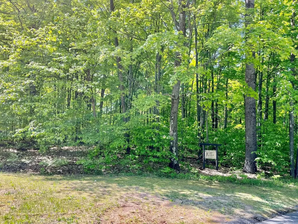 62 Valley Run Custer Township MI 49615