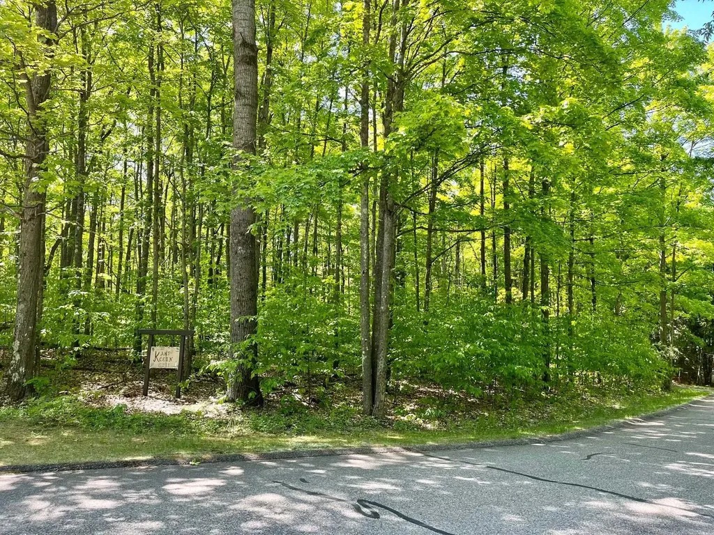 62 Valley Run Custer Township MI 49615