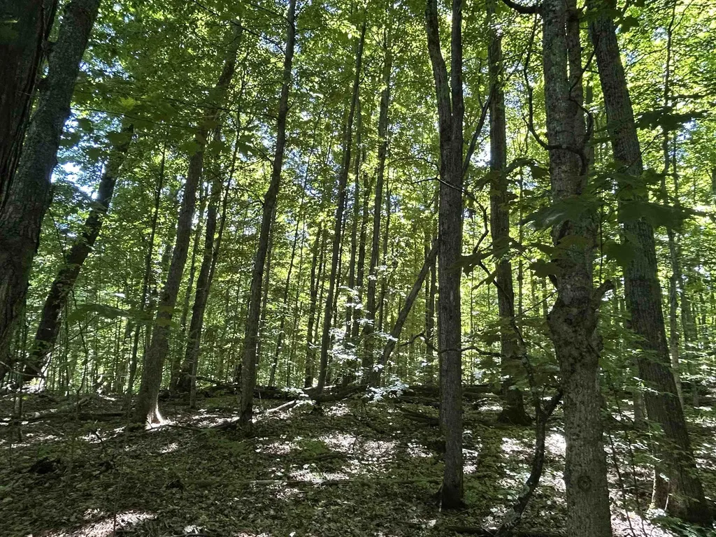 Lot 129 Troon South Kearney Township MI 49615