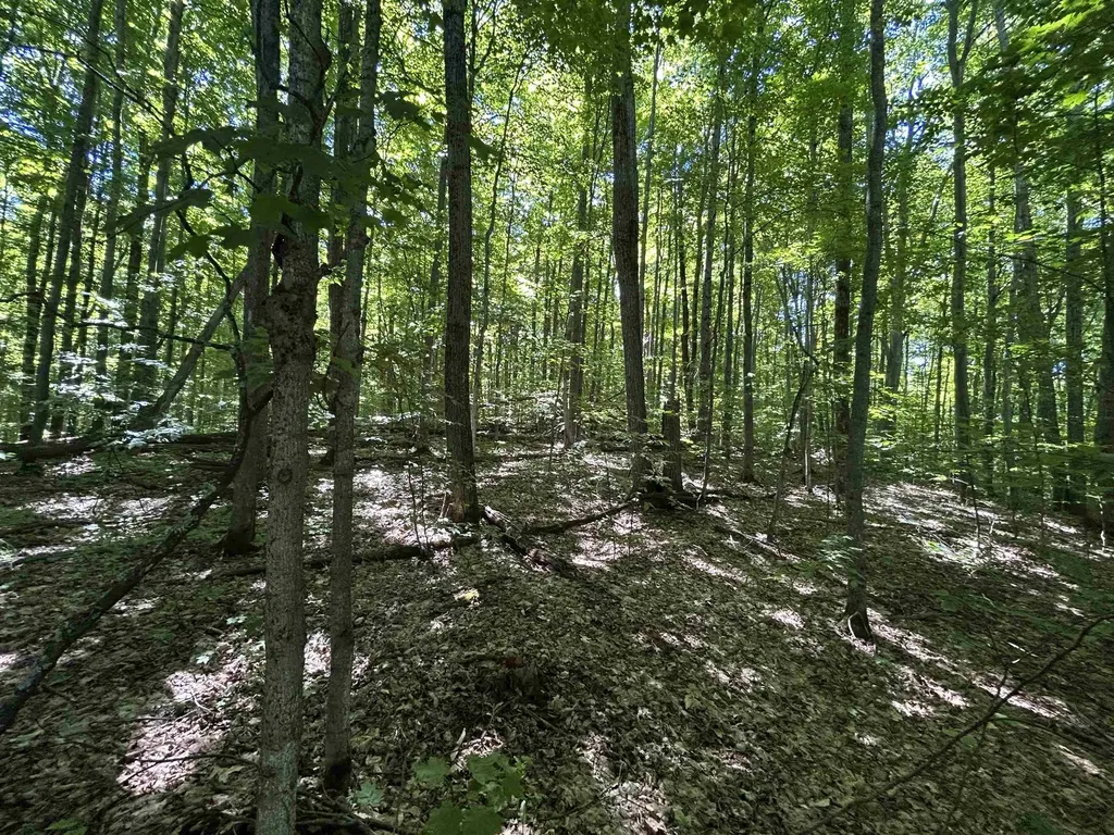 Lot 129 Troon South Kearney Township MI 49615