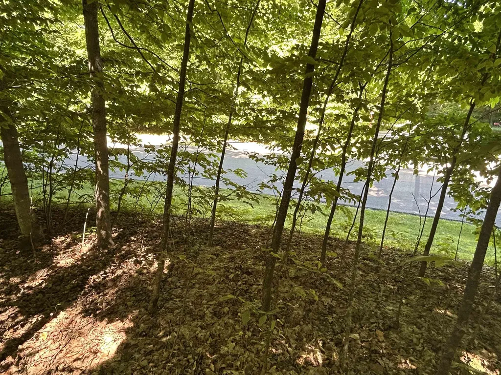 Lot 129 Troon South Kearney Township MI 49615