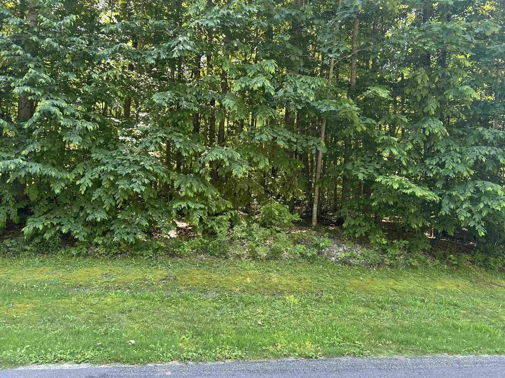 Lot 129 Troon South Kearney Township MI 49615