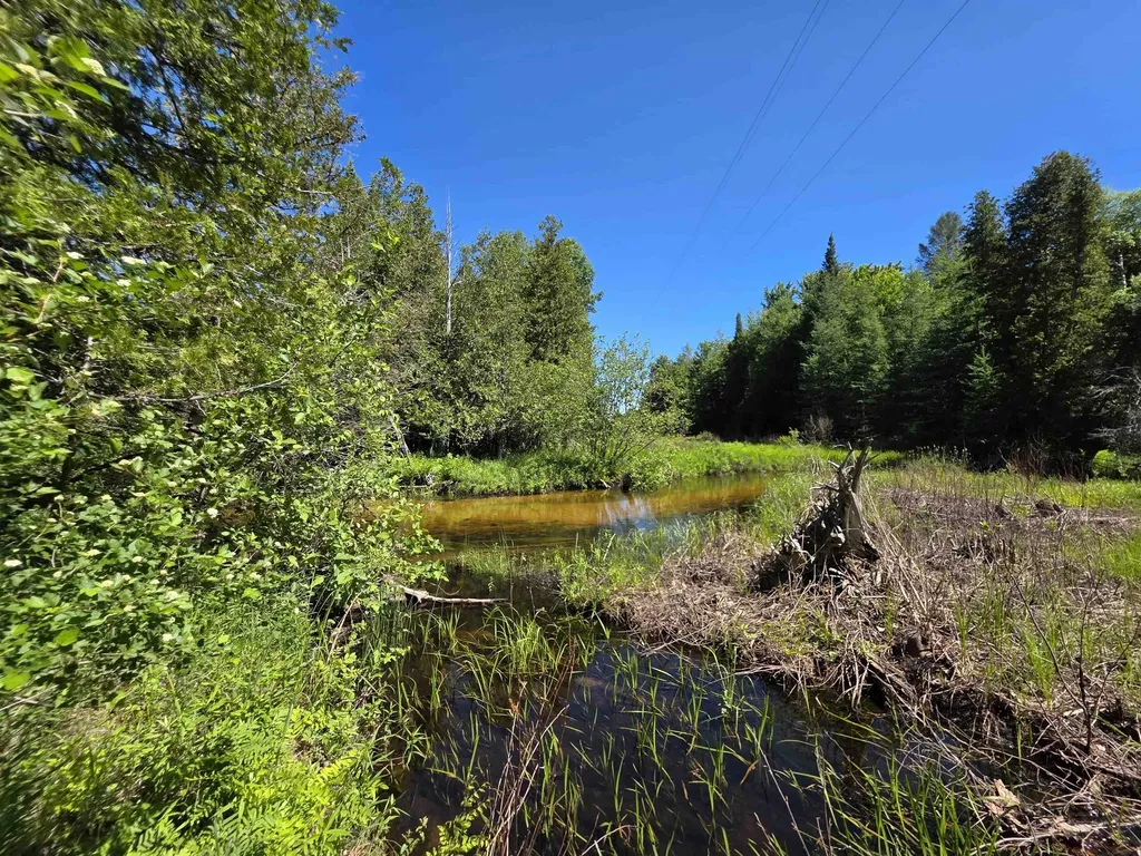520 NE Old M-66 Kalkaska Township MI 49646