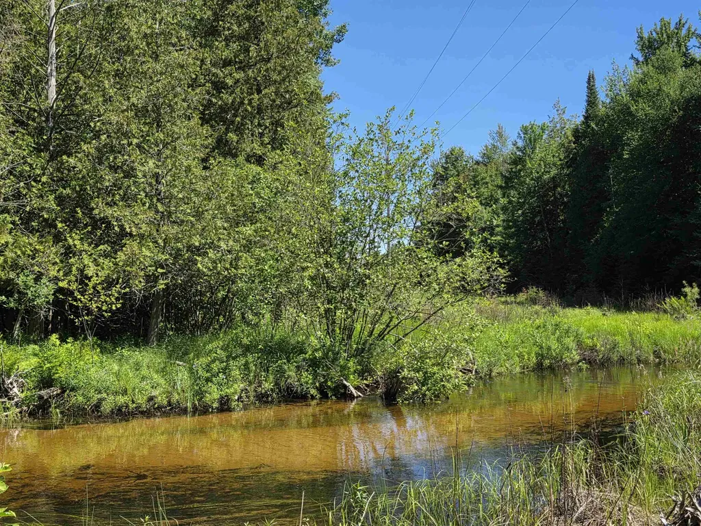 520 NE Old M-66 Kalkaska Township MI 49646