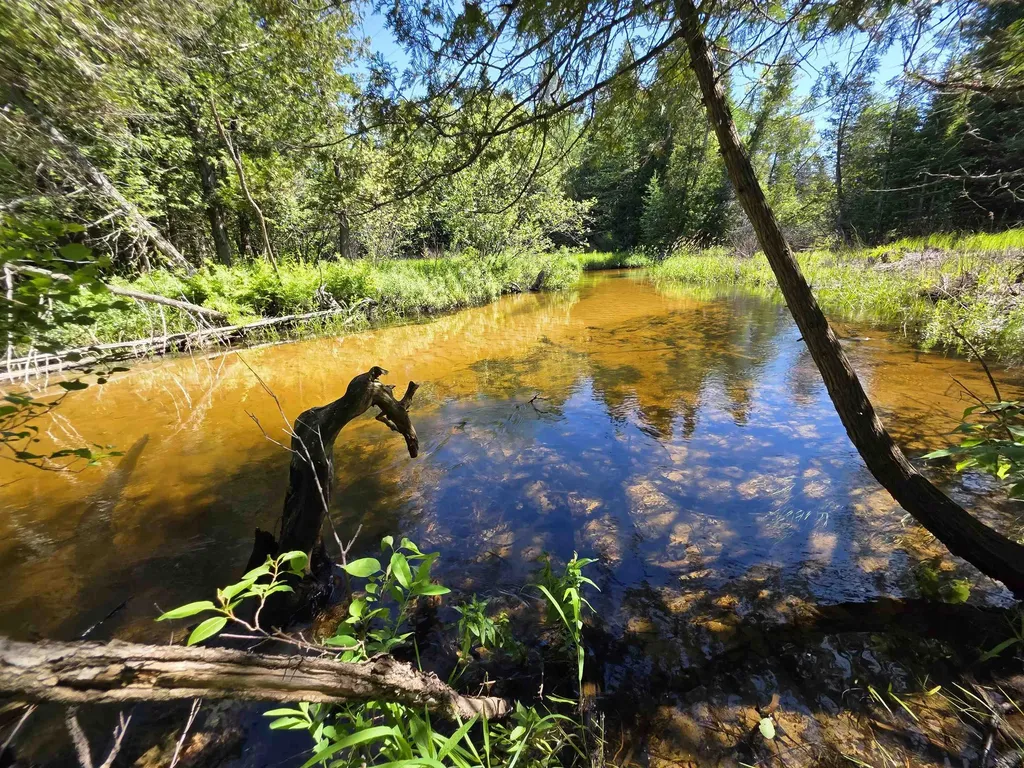 520 NE Old M-66 Kalkaska Township MI 49646