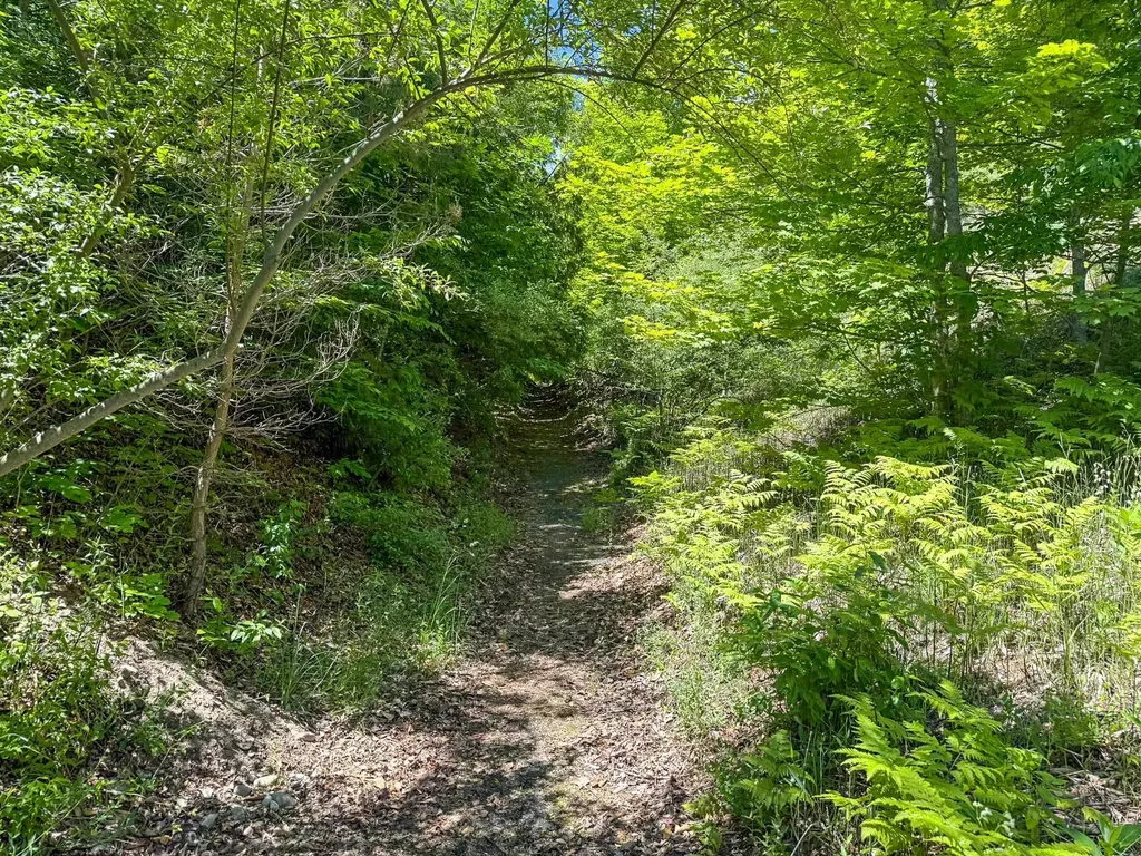 S Cherry Blossom Lane Suttons Bay Township MI 49682
