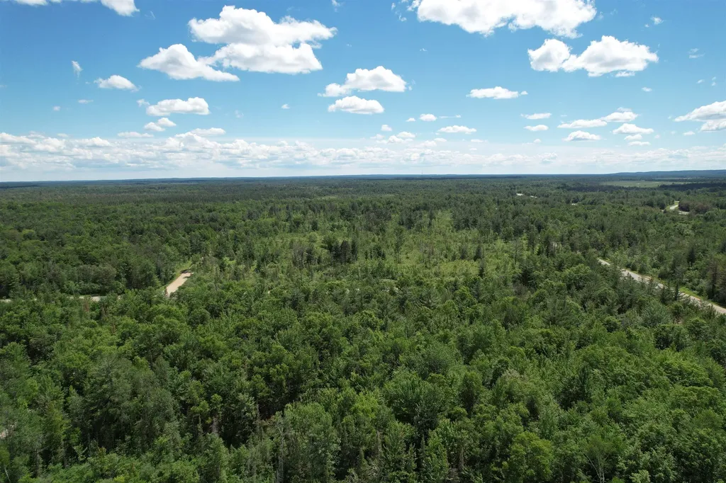 3936 S Deadstream Road Roscommon Township MI 48629
