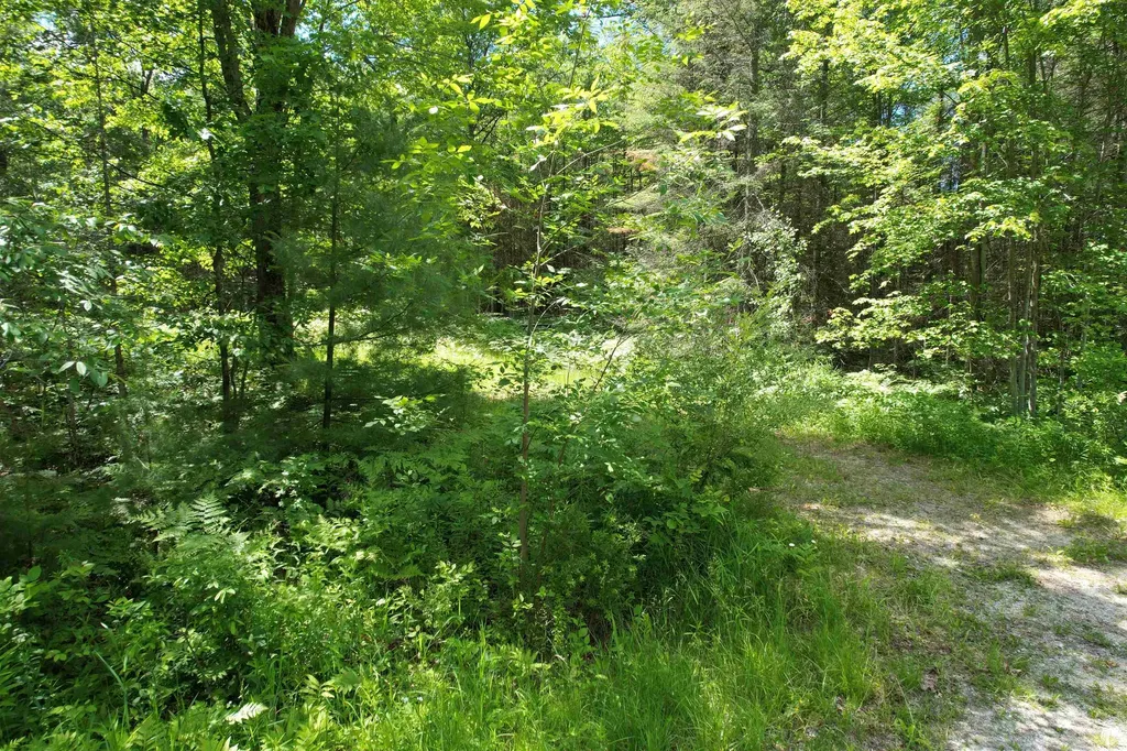 3936 S Deadstream Road Roscommon Township MI 48629