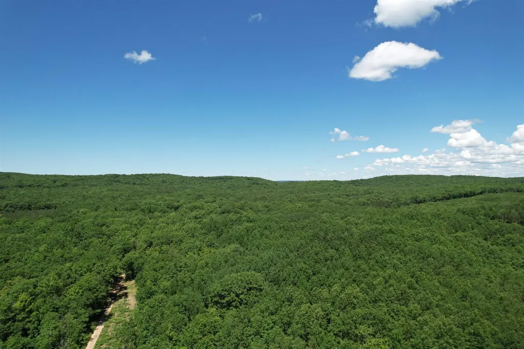 2966 W Houghton Lake Road Forest Township MI 49651