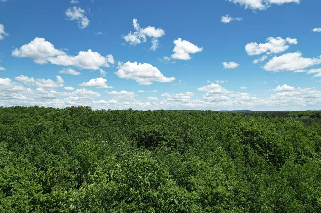 2966 W Houghton Lake Road Forest Township MI 49651