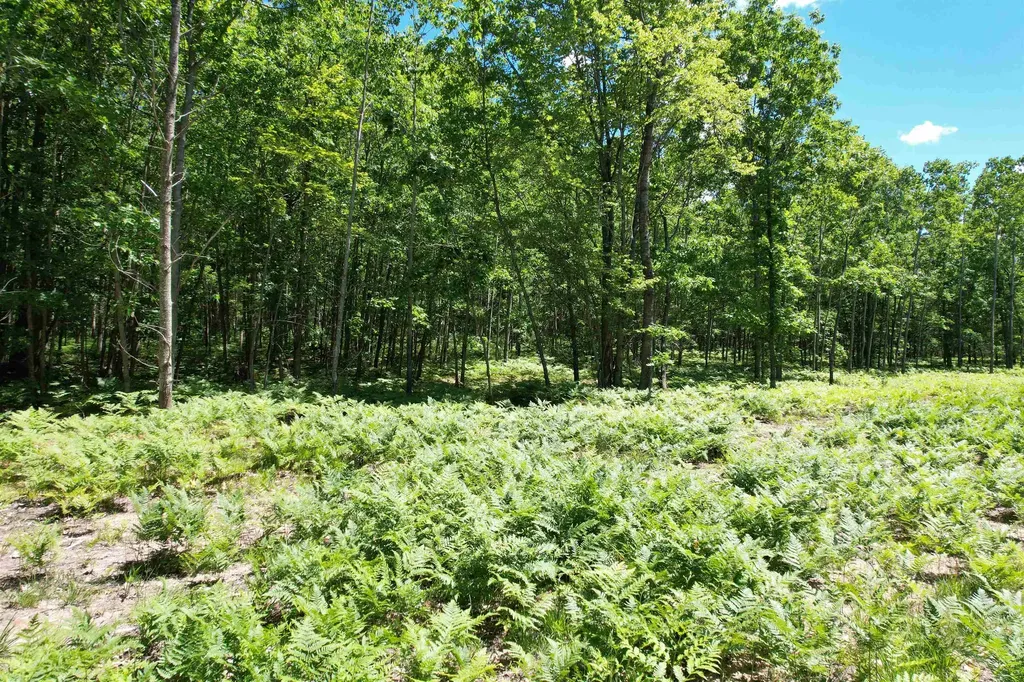 2966 W Houghton Lake Road Forest Township MI 49651