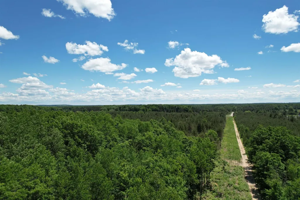 2966 W Houghton Lake Road Forest Township MI 49651