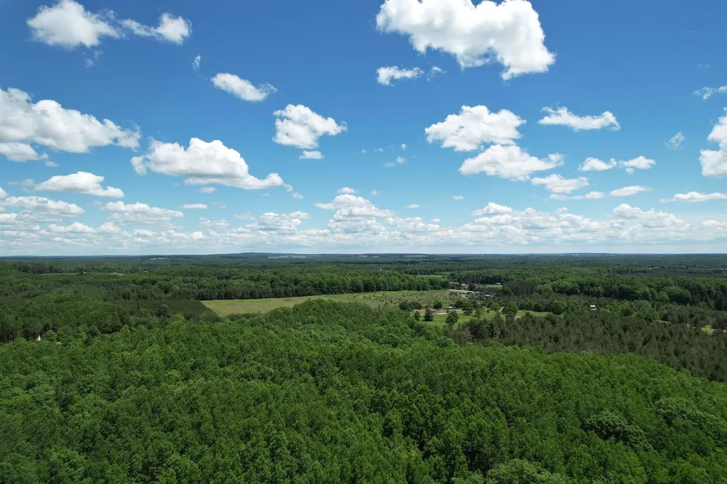 2966 W Houghton Lake Road Forest Township MI 49651