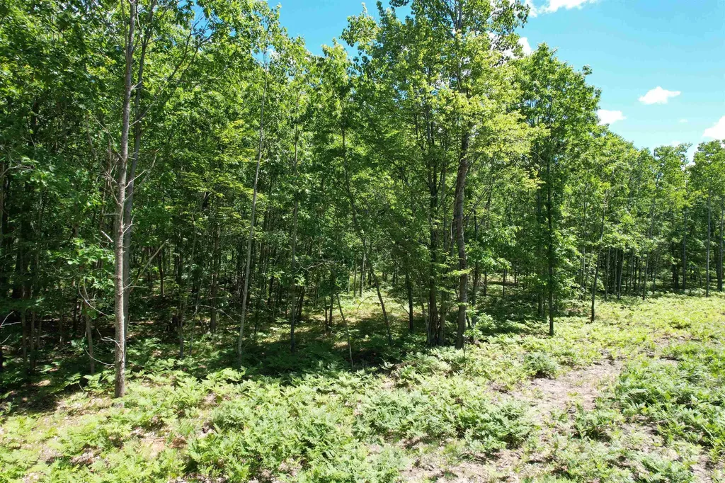 2966 W Houghton Lake Road Forest Township MI 49651
