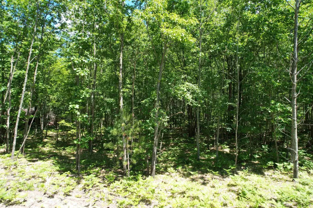 2966 W Houghton Lake Road Forest Township MI 49651