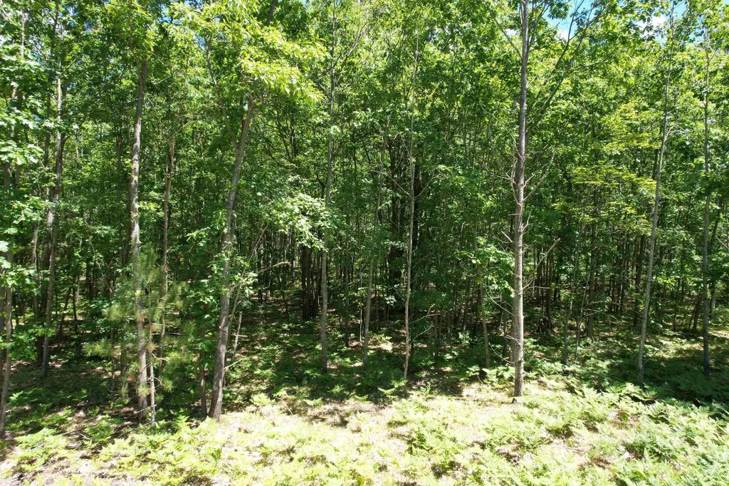 2966 W Houghton Lake Road Forest Township MI 49651