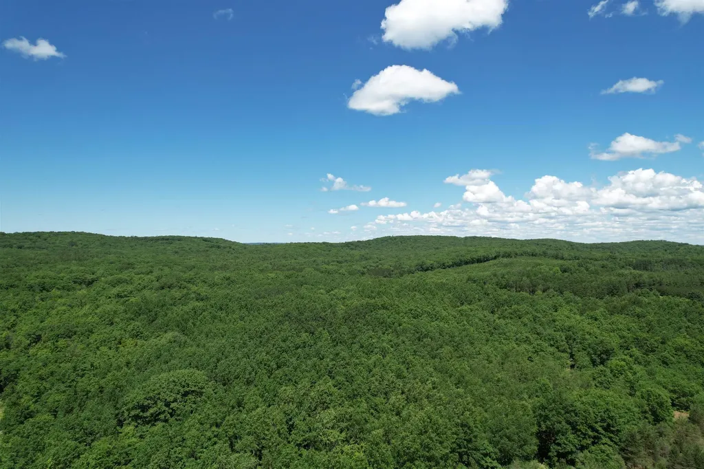 2966 W Houghton Lake Road Forest Township MI 49651
