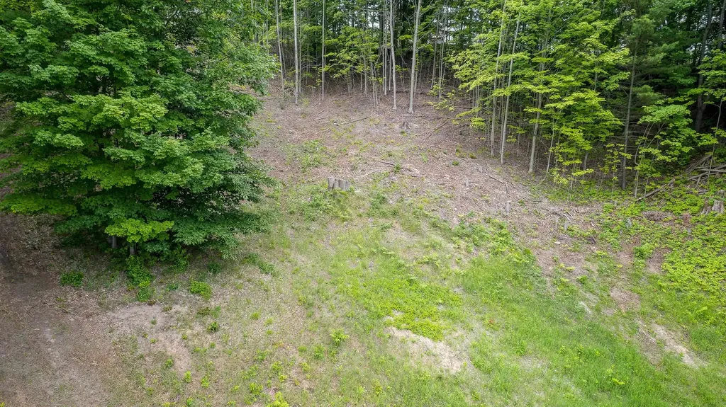 Lot 19 Amarelle Lane Benzonia Township MI 49617