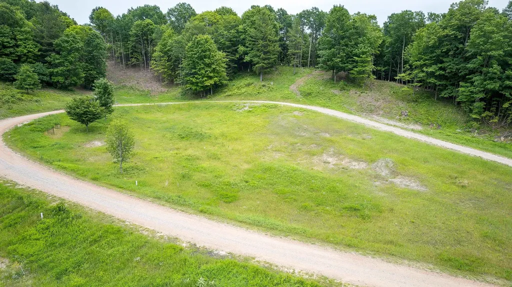 Lot 19 Amarelle Lane Benzonia Township MI 49617