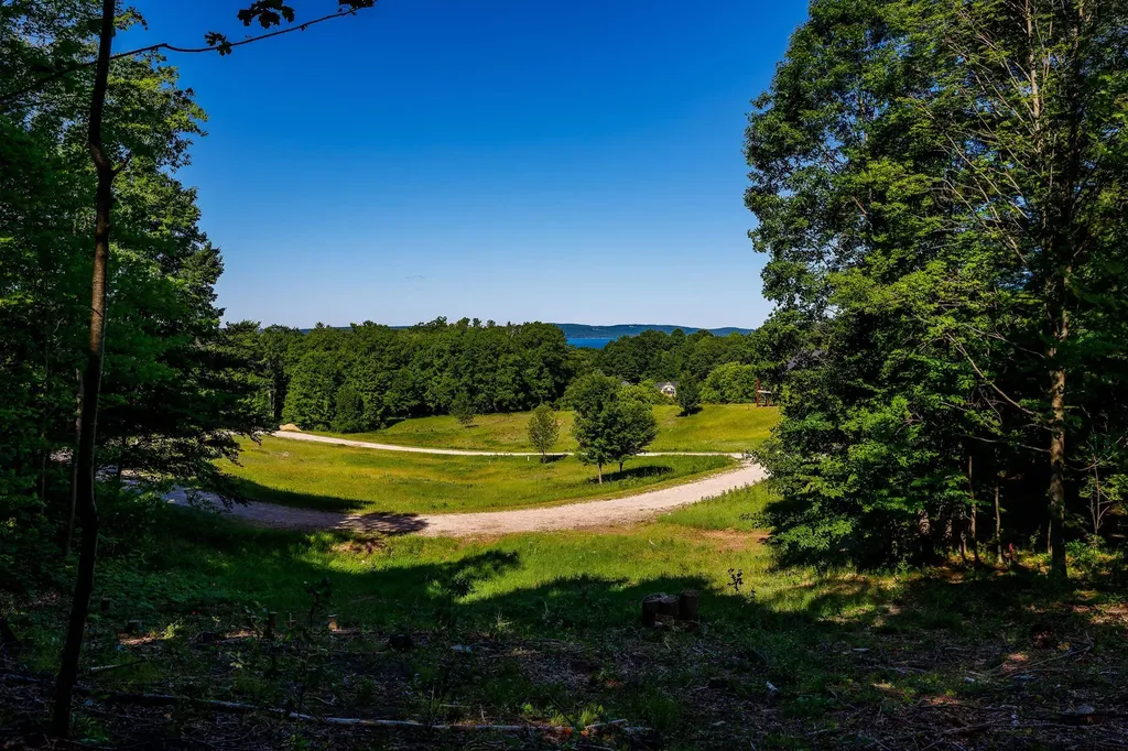 Lot 19 Amarelle Lane Benzonia Township MI 49617