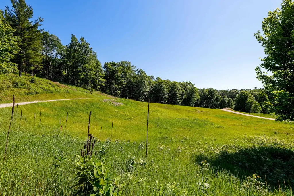 Lot 19 Amarelle Lane Benzonia Township MI 49617
