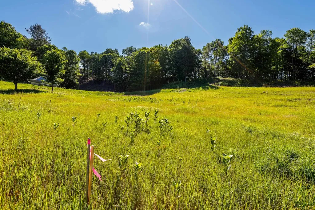 Lot 19 Amarelle Lane Benzonia Township MI 49617