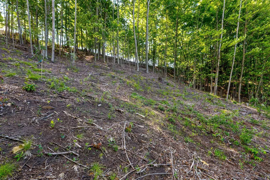 Lot 19 Amarelle Lane Benzonia Township MI 49617