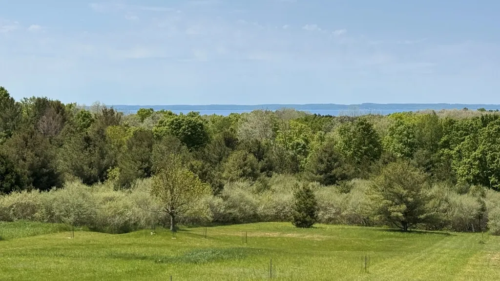5815 Farrell Road Torch Lake Township MI 49622