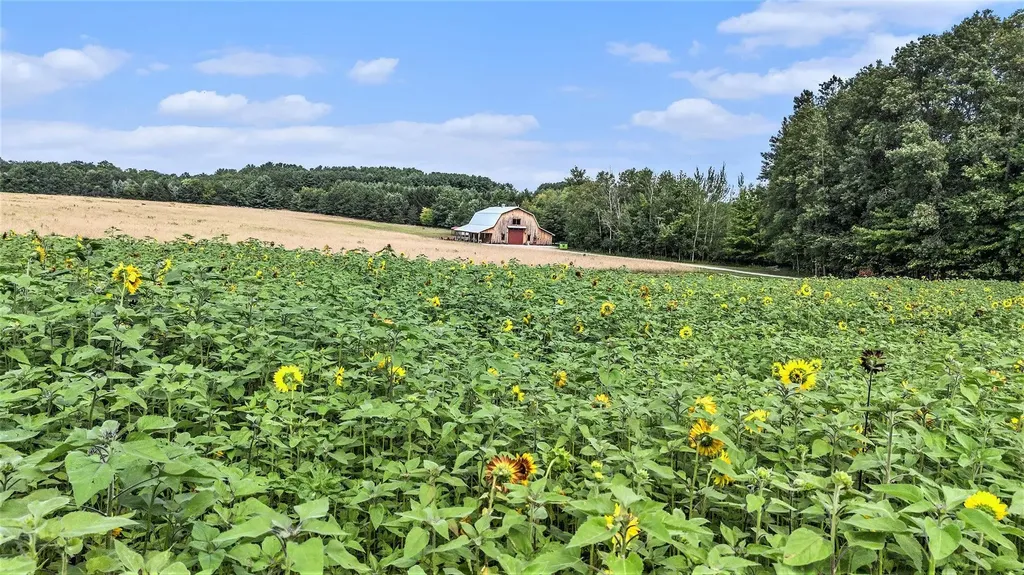 3625 Swaney Road Peninsula Township MI 49686