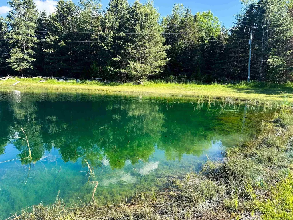 8157 NW Kellogg Road Clearwater Township MI 49612