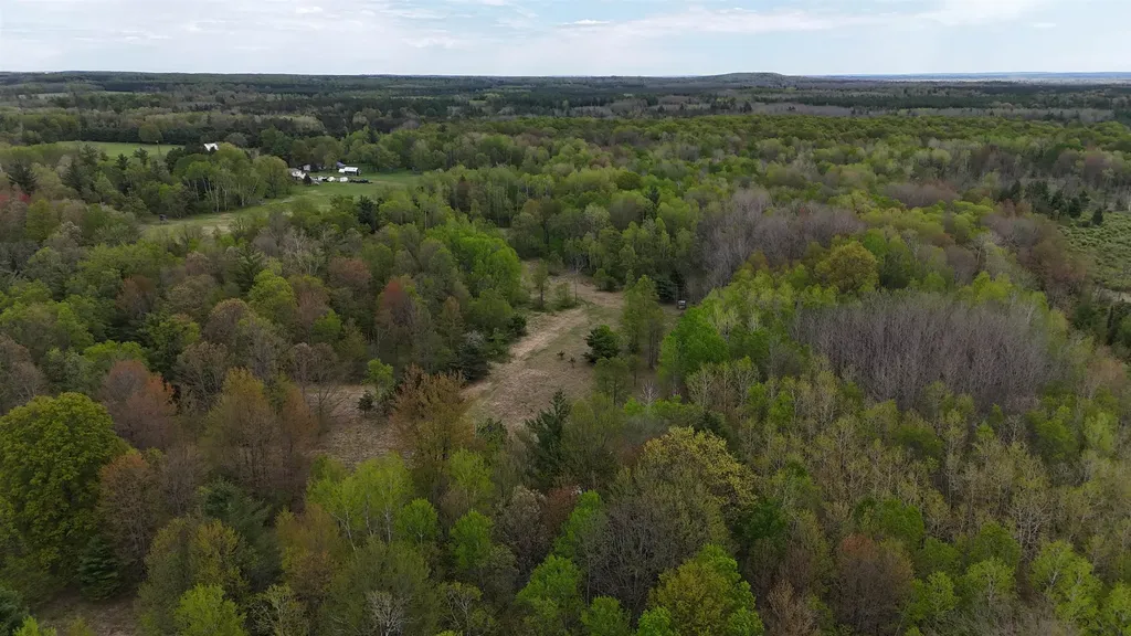 Vl 19 Road Hanover Township MI 49649