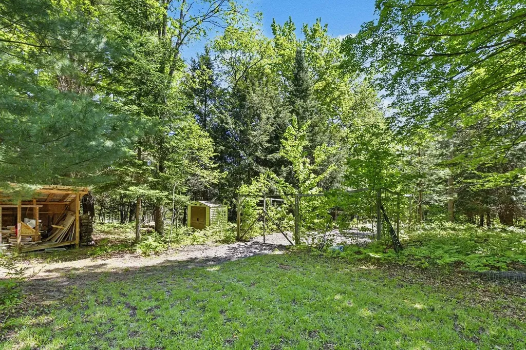 5218 Mitchell Road Central Lake Township MI 49622