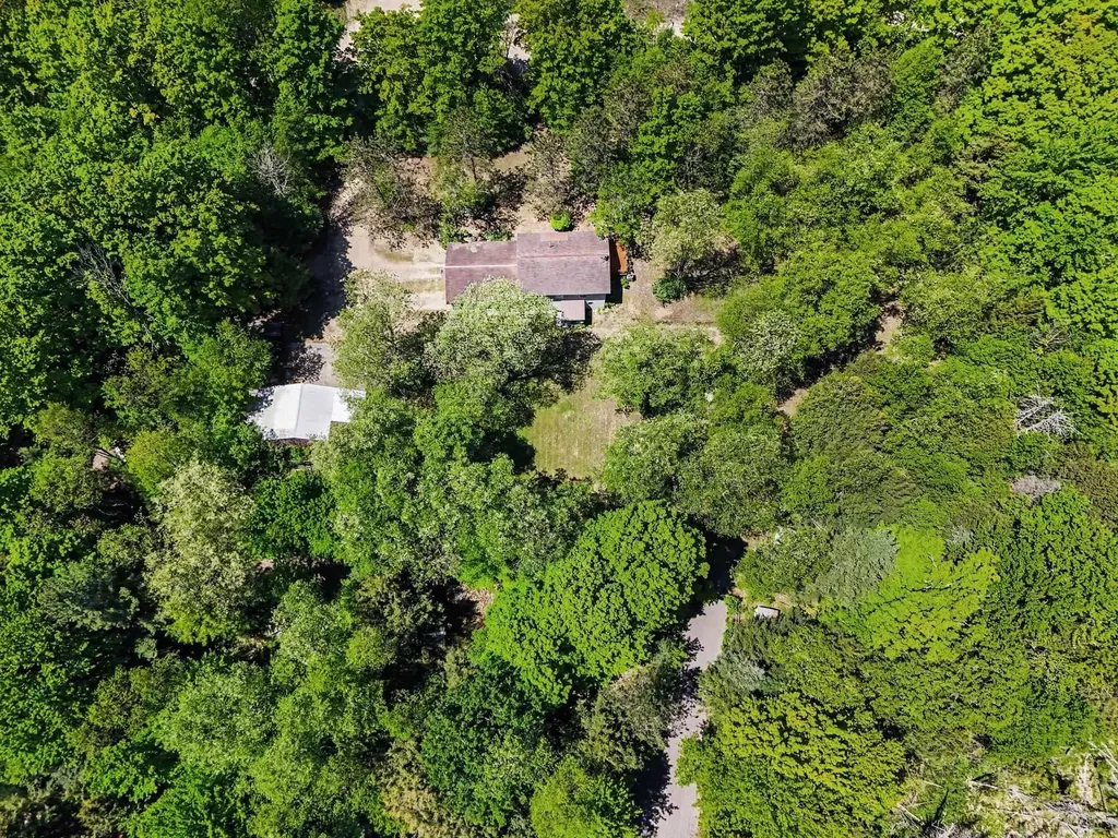 5218 Mitchell Road Central Lake Township MI 49622