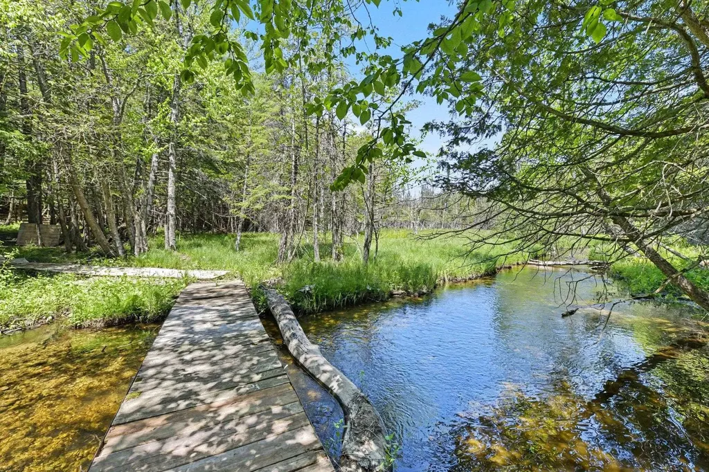 5218 Mitchell Road Central Lake Township MI 49622