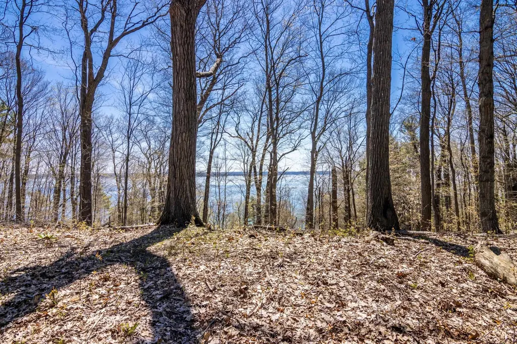 Lot 21 Moonrise Court Peninsula Township MI 49686