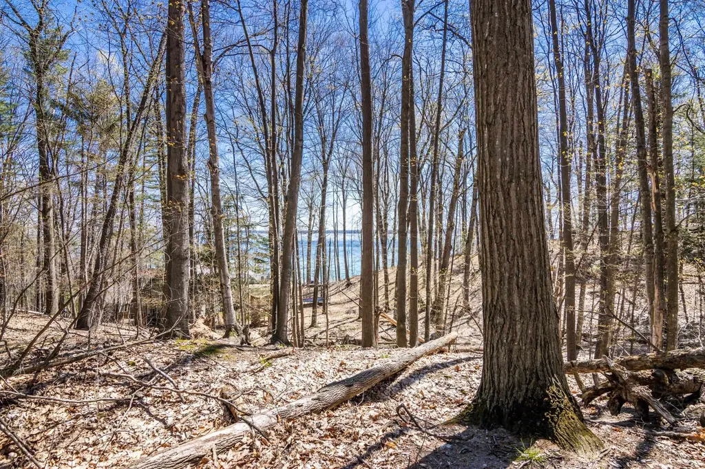 Lot 21 Moonrise Court Peninsula Township MI 49686