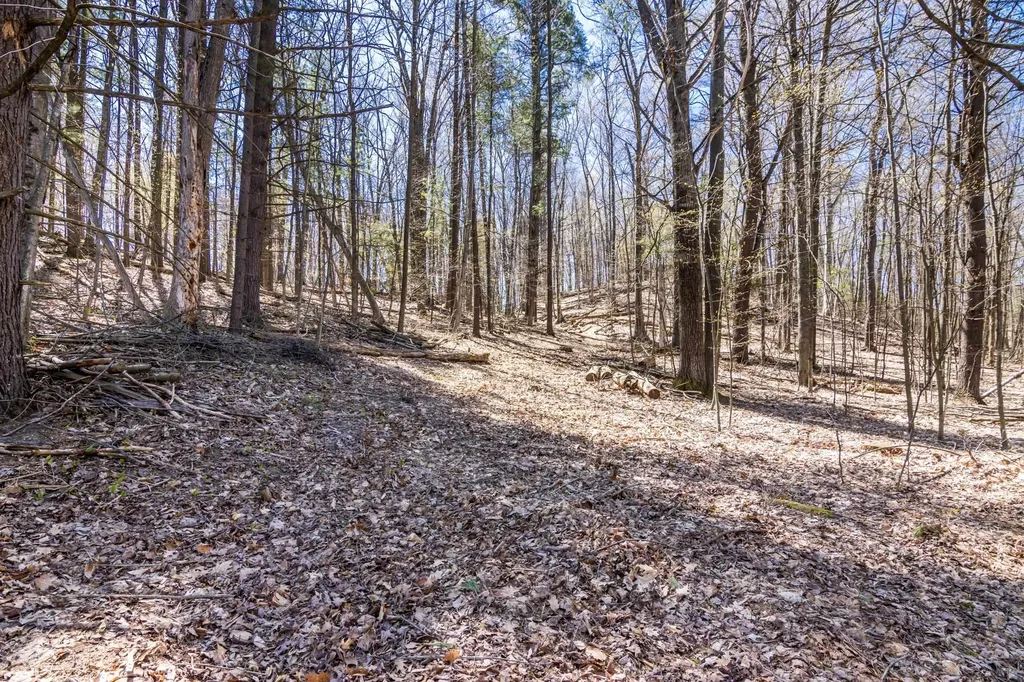 Lot 21 Moonrise Court Peninsula Township MI 49686
