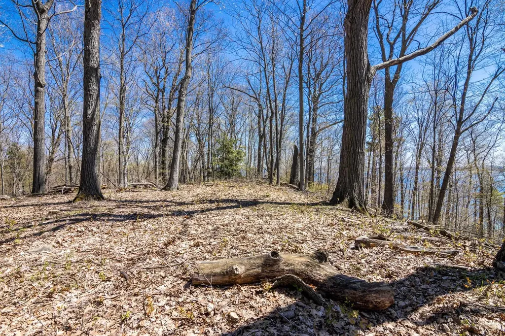 Lot 21 Moonrise Court Peninsula Township MI 49686