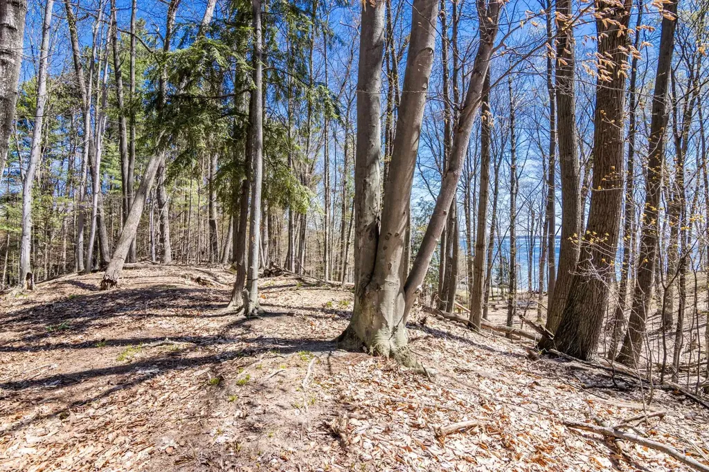 Lot 21 Moonrise Court Peninsula Township MI 49686