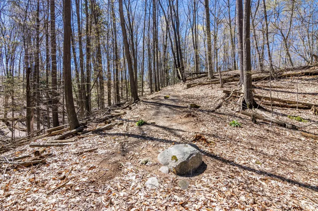 Lot 21 Moonrise Court Peninsula Township MI 49686